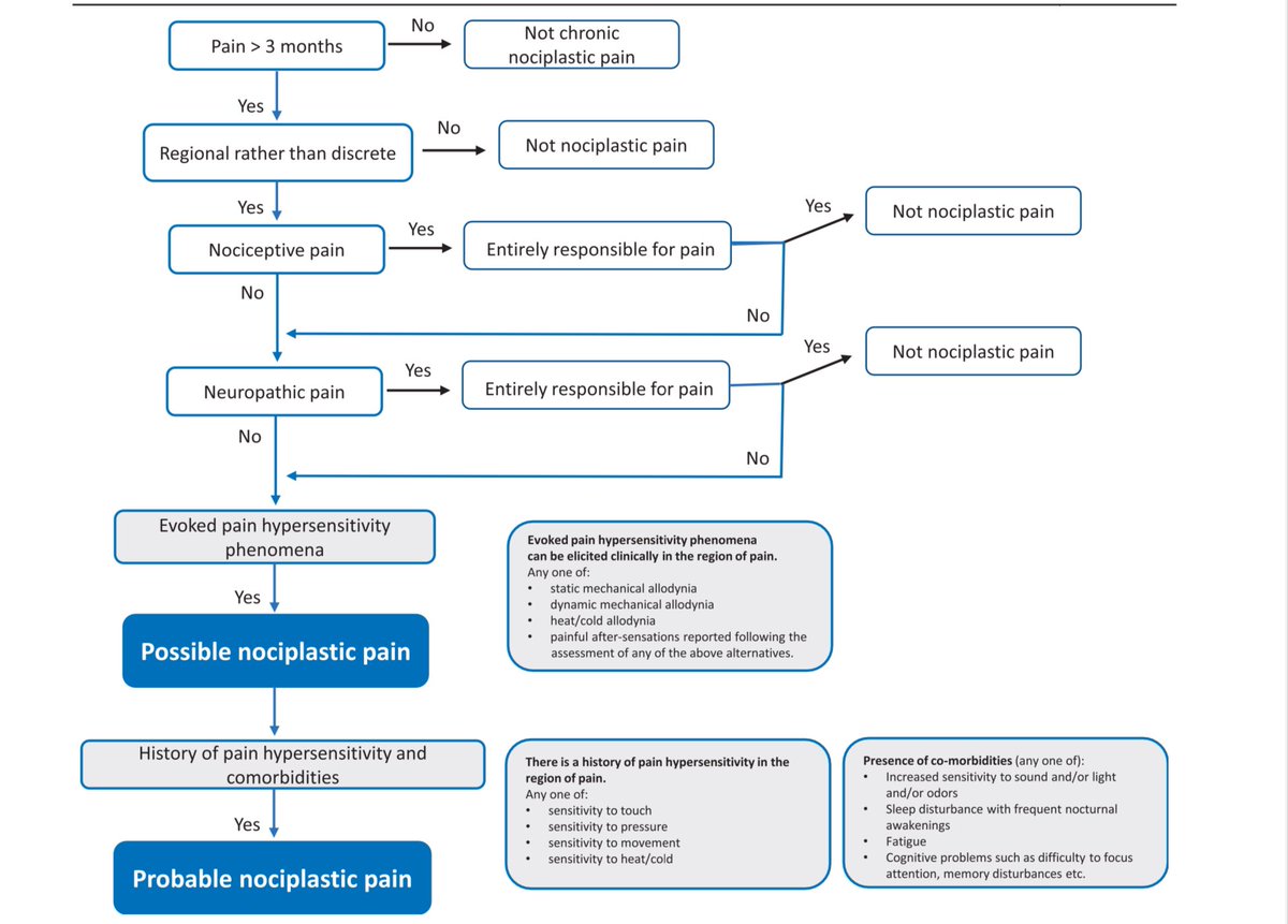 ɹǝʇlnoԀ pıʌɐᗡ 🚴🏻 🇺🇸 🇦🇺 🇬🇧 tweet media