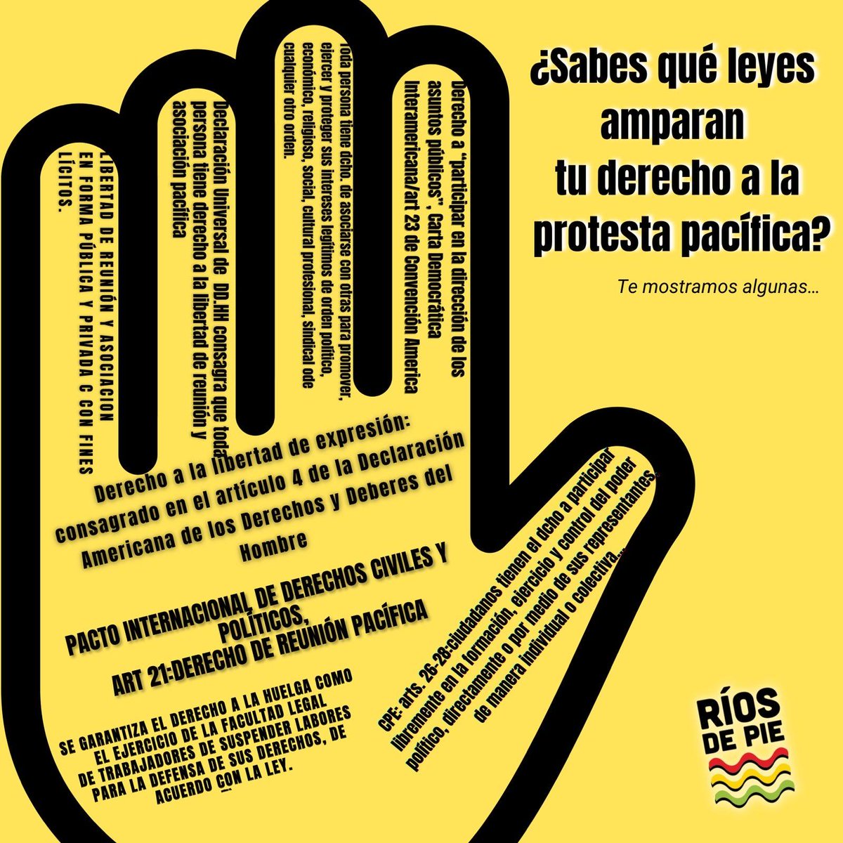 RiosDePie's tweet photo. El derecho a la protesta pacífica no sólo está amparado por la CPE, sino también por leyes y convenios internacionales. Aquí les dejamos una guía para compartir.

¡La protesta pacífica es un elemento esencial de sociedades democráticas!

#NoViolencia
#LaUniónEsLaFuerza
#RíosDePie https://t.co/J3VFv3opyc