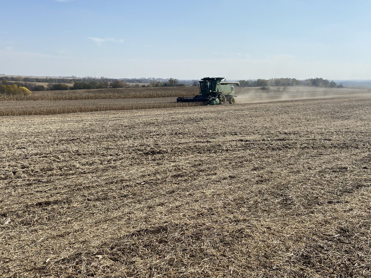 AgVentureWMO's tweet image. Last bean plot of the year! This plot was another confirmation of what varieties work best in this geography. We’re #alwaystesting to find the best products for every situation.