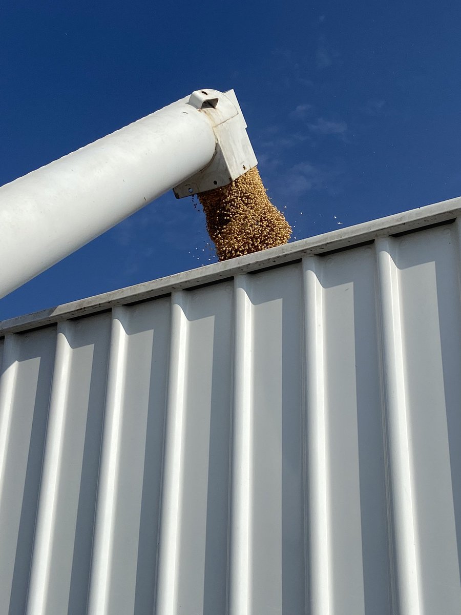 AgVentureWMO's tweet image. Last bean plot of the year! This plot was another confirmation of what varieties work best in this geography. We’re #alwaystesting to find the best products for every situation.