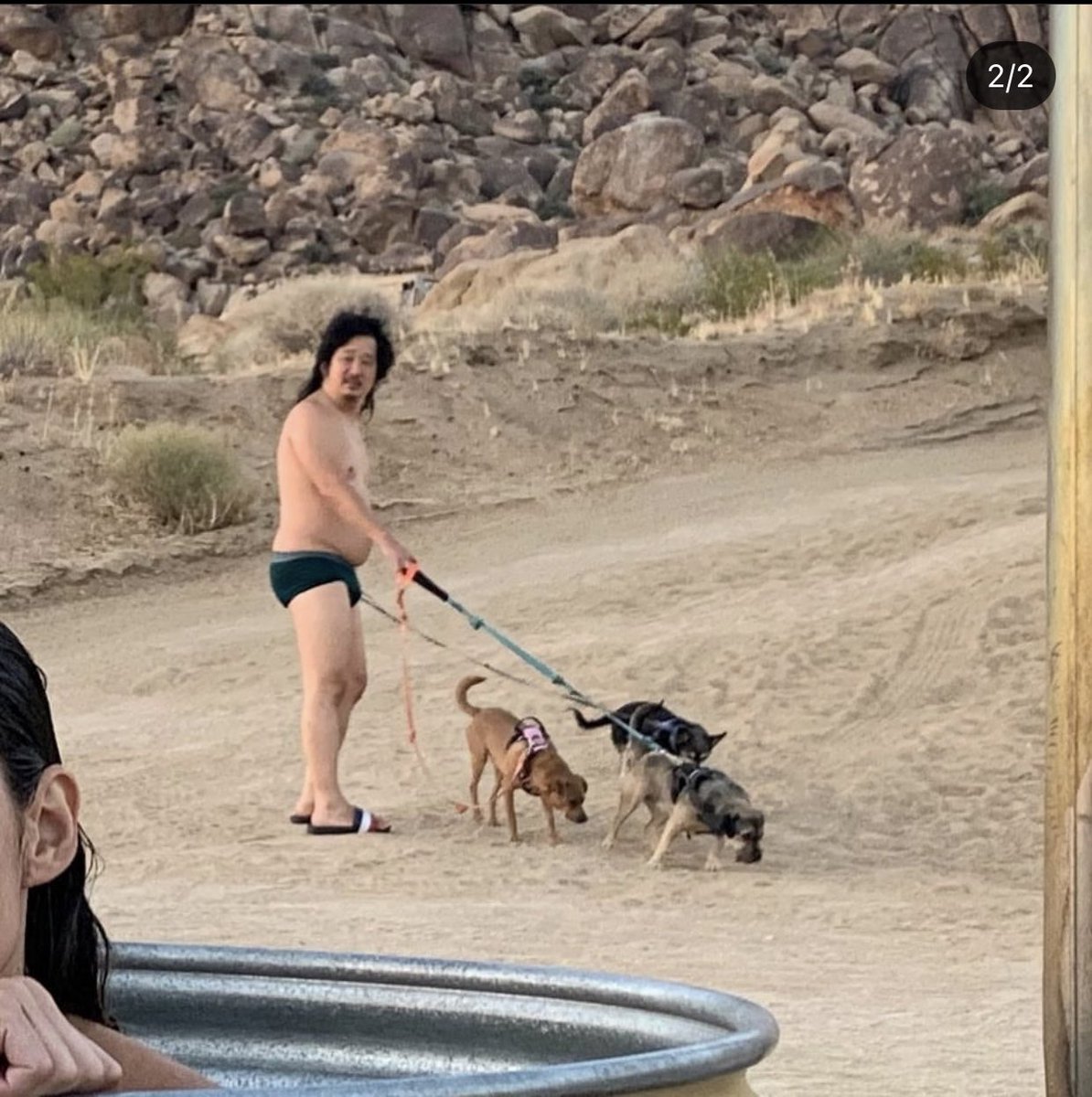 logansphotos1's tweet photo. @TheoVon @bobbyleelive You clearly haven’t seen this one yet https://t.co/Tmy56BgRuh