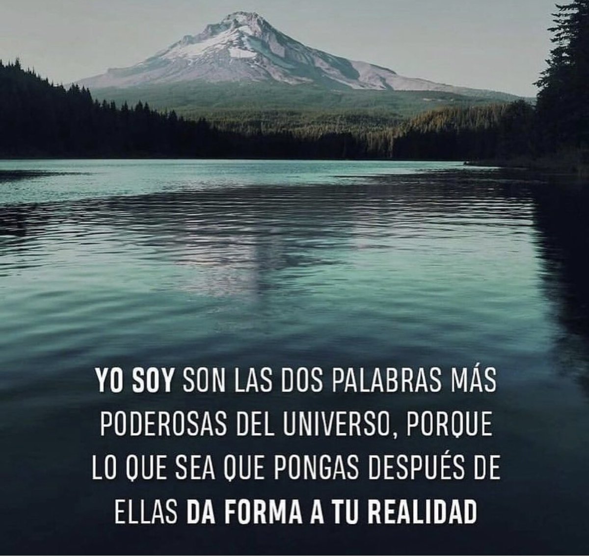 Sololuz5's tweet photo. YO SOY https://t.co/OPGTNmJURe