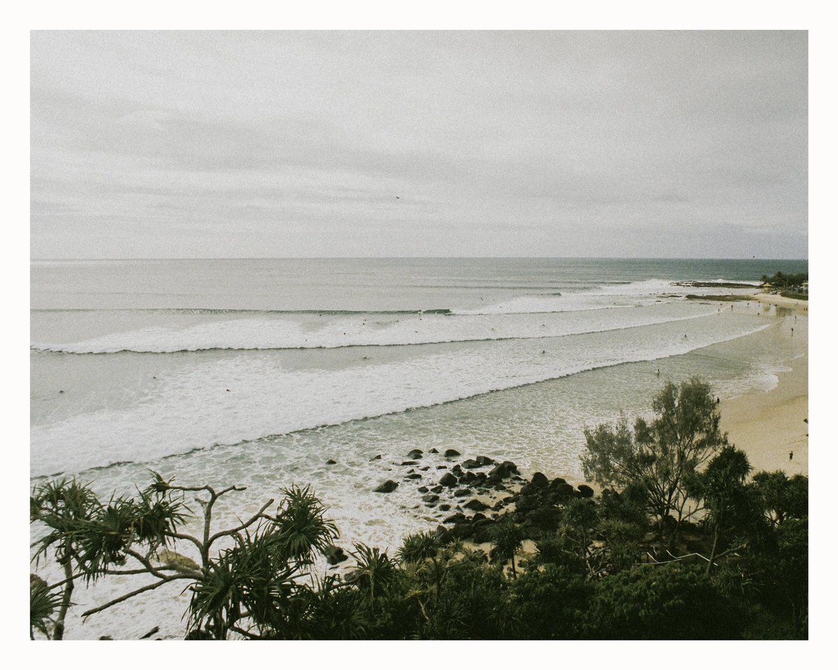 levicaleballan's tweet photo. A family of photos overlooking snapper rocks from June this year, shot on (you guessed it) Portra 400 on the Minolta X-700

#staybrokeshootfilm 
#snapperocks #goldcoast #minoltax700 #portra400 https://t.co/QWJDAg8KYC