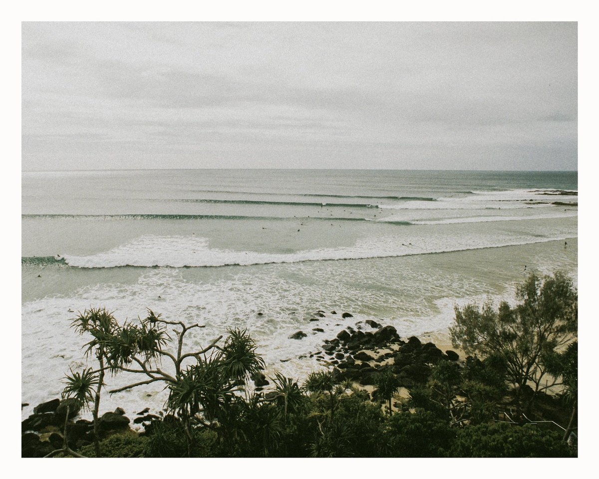 levicaleballan's tweet photo. A family of photos overlooking snapper rocks from June this year, shot on (you guessed it) Portra 400 on the Minolta X-700

#staybrokeshootfilm 
#snapperocks #goldcoast #minoltax700 #portra400 https://t.co/QWJDAg8KYC