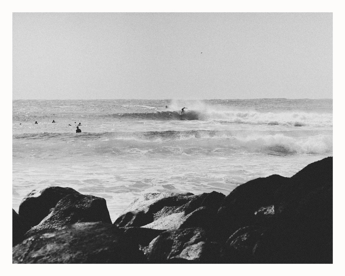 levicaleballan's tweet photo. A family of photos overlooking snapper rocks from June this year, shot on (you guessed it) Portra 400 on the Minolta X-700

#staybrokeshootfilm 
#snapperocks #goldcoast #minoltax700 #portra400 https://t.co/QWJDAg8KYC