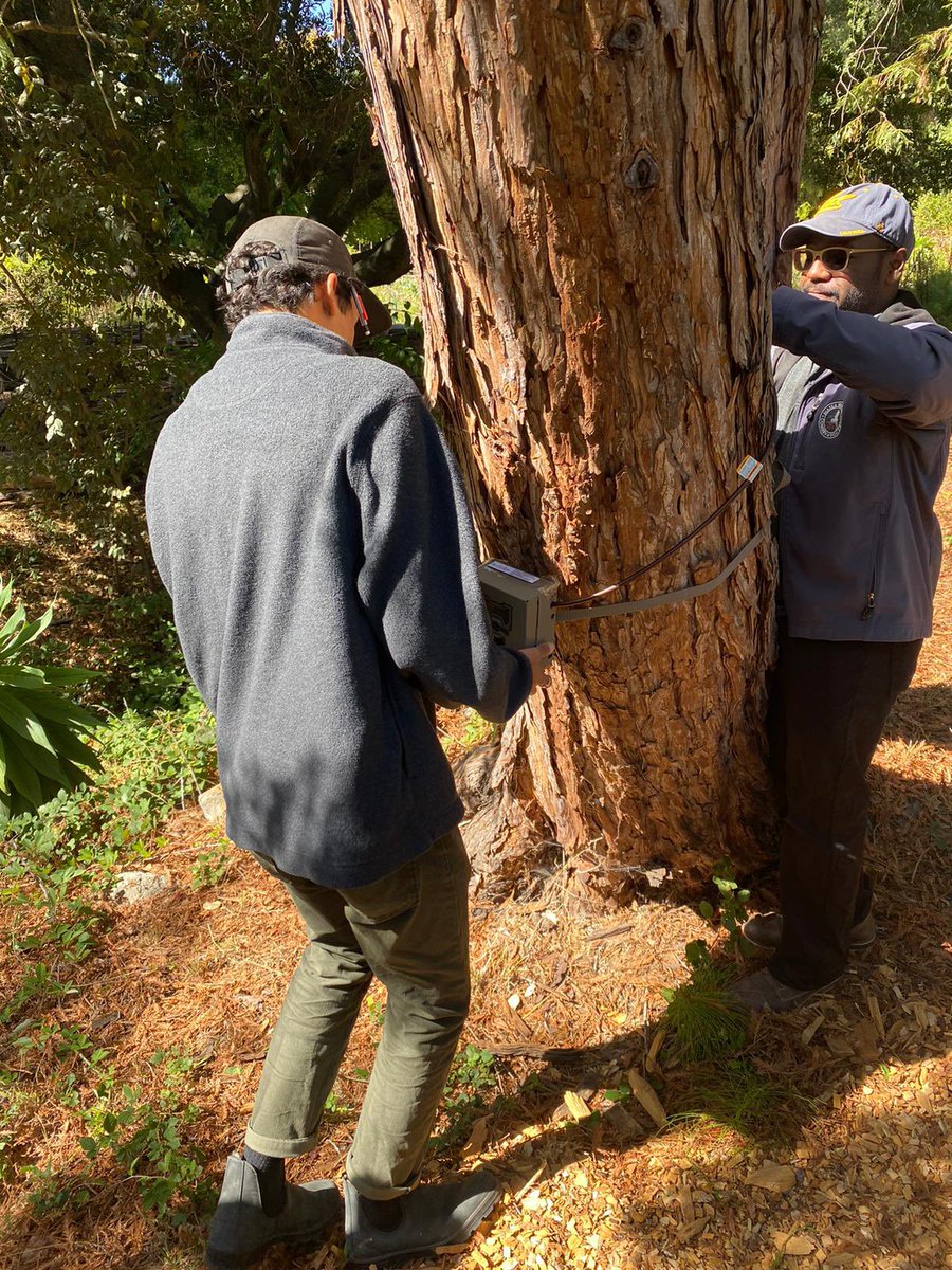 EstienCesar's tweet image. wow there’s a #FirstGenDay!! 

so grateful for the numerous mentors that have helped light my path into science! even more grateful for the sacrifices my family made to get me here.

because of my village, i get to do cool science with dope people!!!  

#UCFirstGen #firstgen