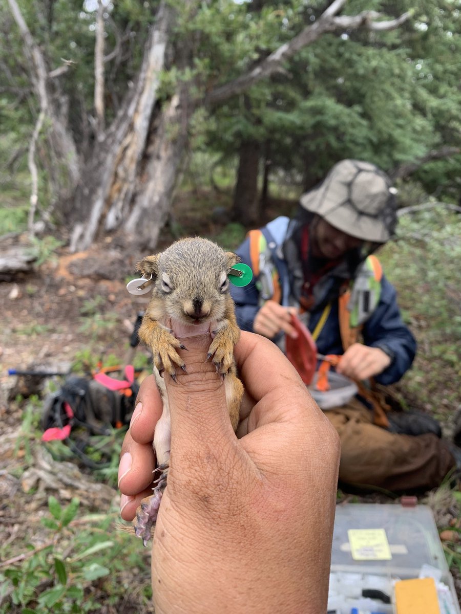 EstienCesar's tweet image. wow there’s a #FirstGenDay!! 

so grateful for the numerous mentors that have helped light my path into science! even more grateful for the sacrifices my family made to get me here.

because of my village, i get to do cool science with dope people!!!  

#UCFirstGen #firstgen