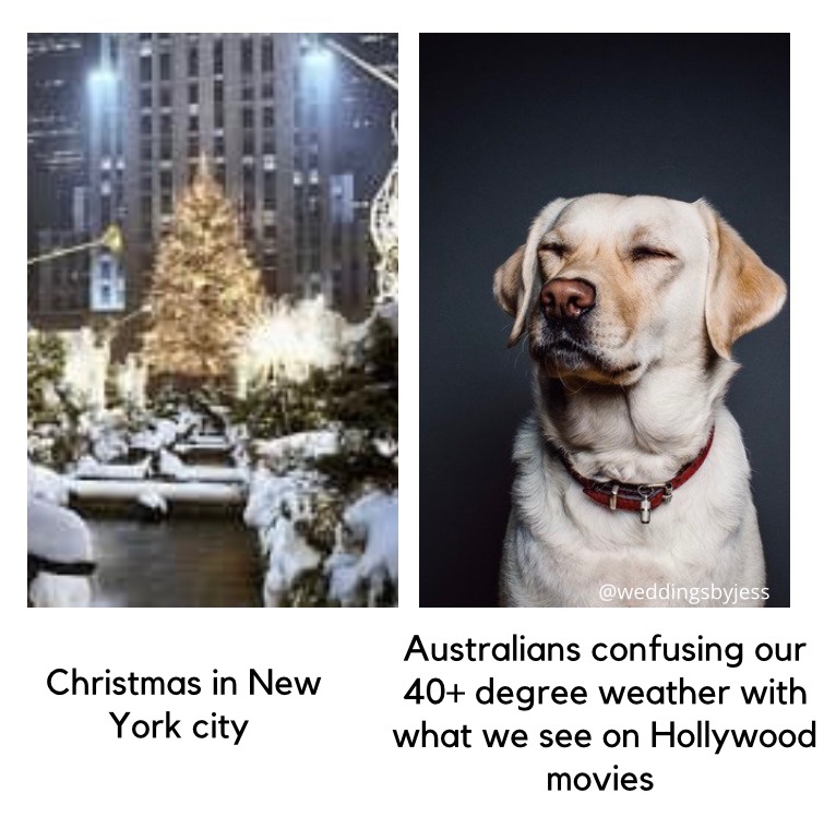 WeddingsJess's tweet photo. Australians: “Let’s get matching Christmas sweaters!”

Australia: It’s literally 40 degrees and Summer here. 

#christmastime #aussiechristmas #whitechristmas #christmasmemes #Christmas2021 https://t.co/b1EYwzKnGM
