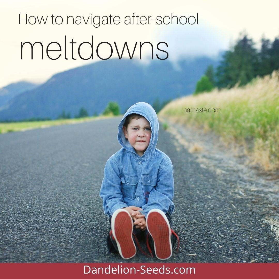 DandelionSeeds5's tweet photo. NEW on the blog. Here's what science says might be going on if your child struggles after school, seemingly storing up all their big feelings just for YOU -- and what to do about it. 
https://t.co/itETWAYTvR https://t.co/KmWaVq7SlO