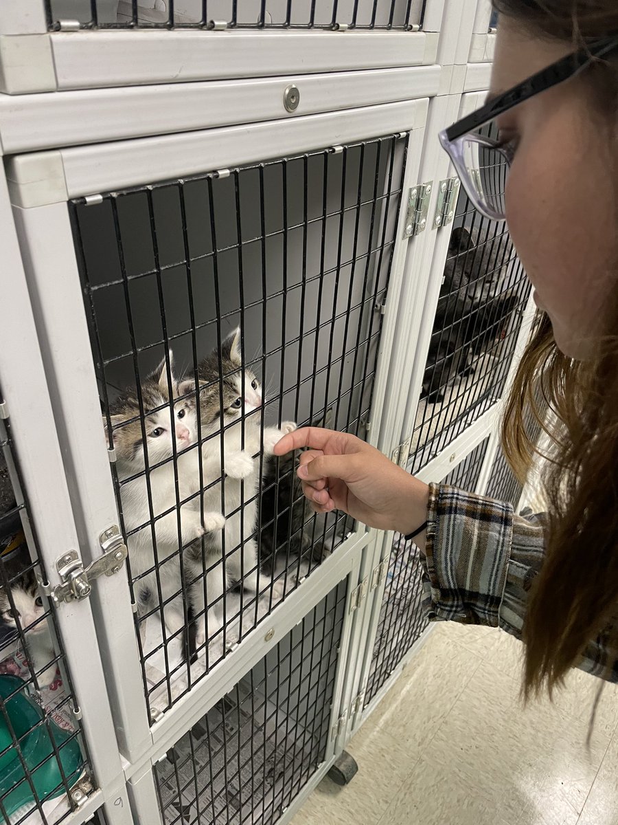 Our sophomores have completed a couple of service projects this fall! Check out some pics from Mission Agape and the animal shelter. We love seeing our student-athletes give back to their community!!