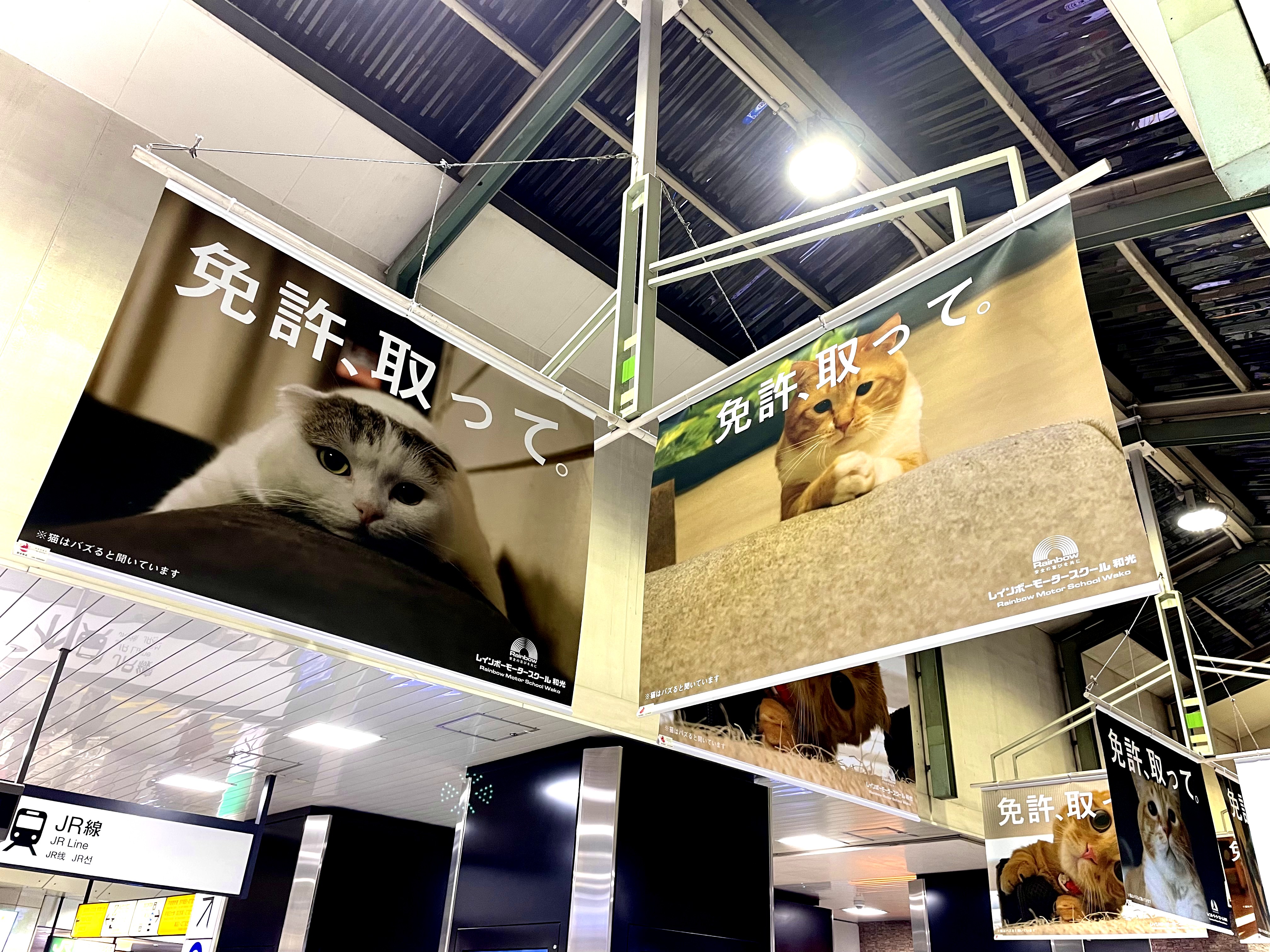 レインボーモータースクール Rms Official Jp Twitter