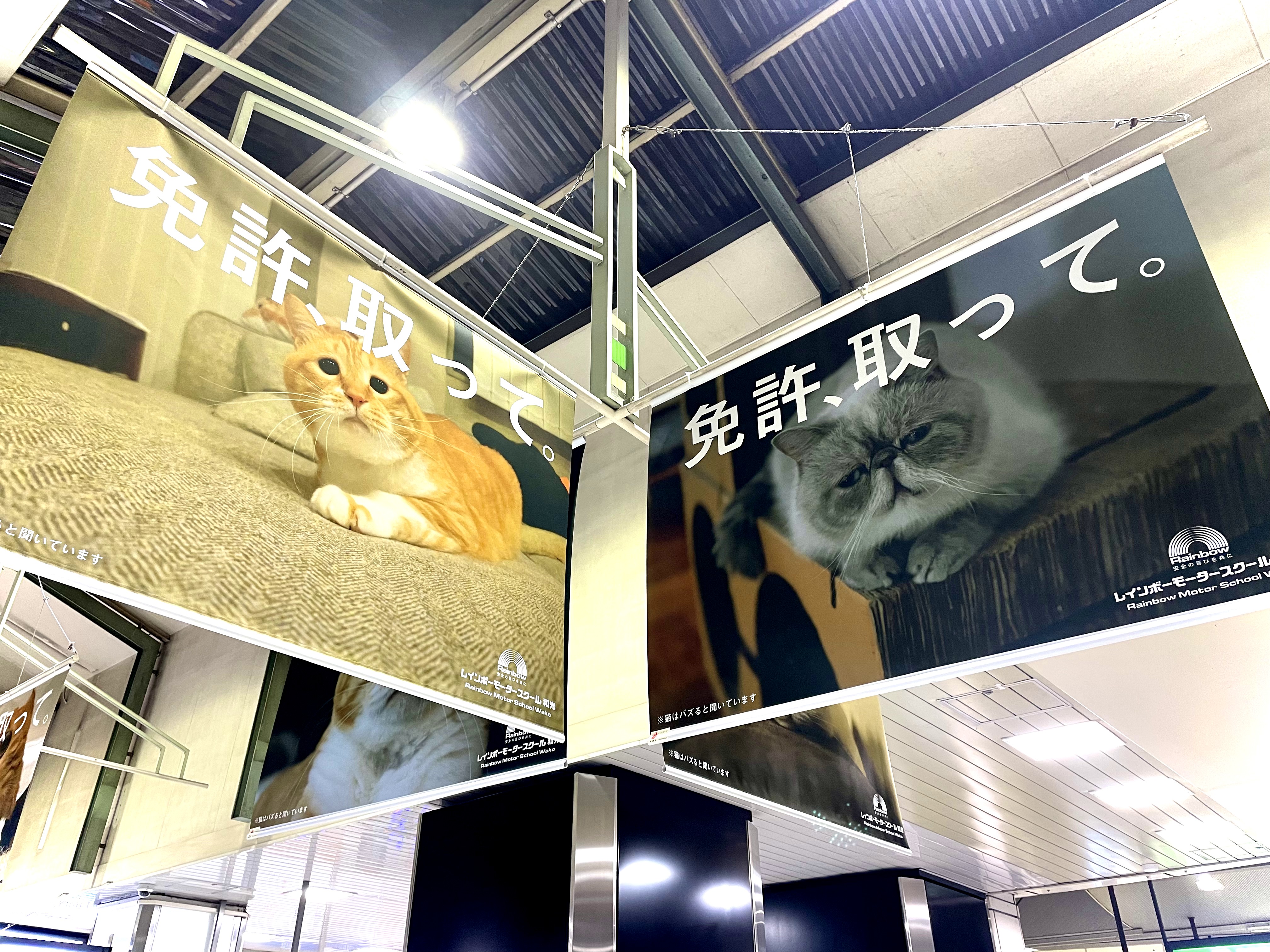 レインボーモータースクール Rms Official Jp Twitter