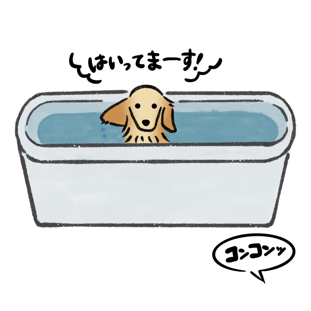lgbt_compass's tweet photo. お風呂にのんびり入るダックスを
描かせて頂きました！🐶♨️
右耳だけ立っているのも可愛い✨
.
#ダックス #犬のいる暮らし #犬の気持ち #犬好きな人と繋がりたい #イラスト好きな人と繋がりたい #イラストレーター https://t.co/5MezprfghV