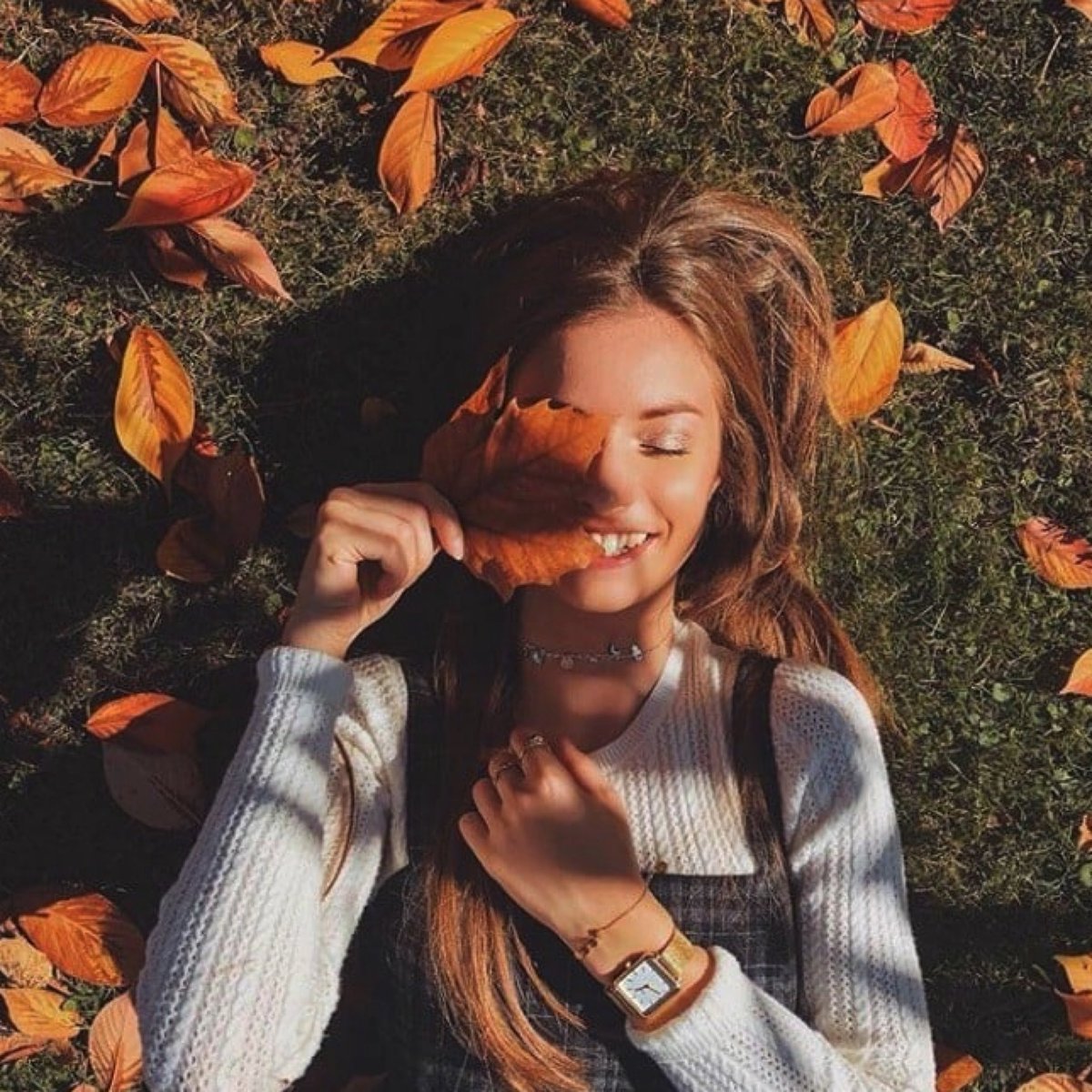 uchicagodining tweet media