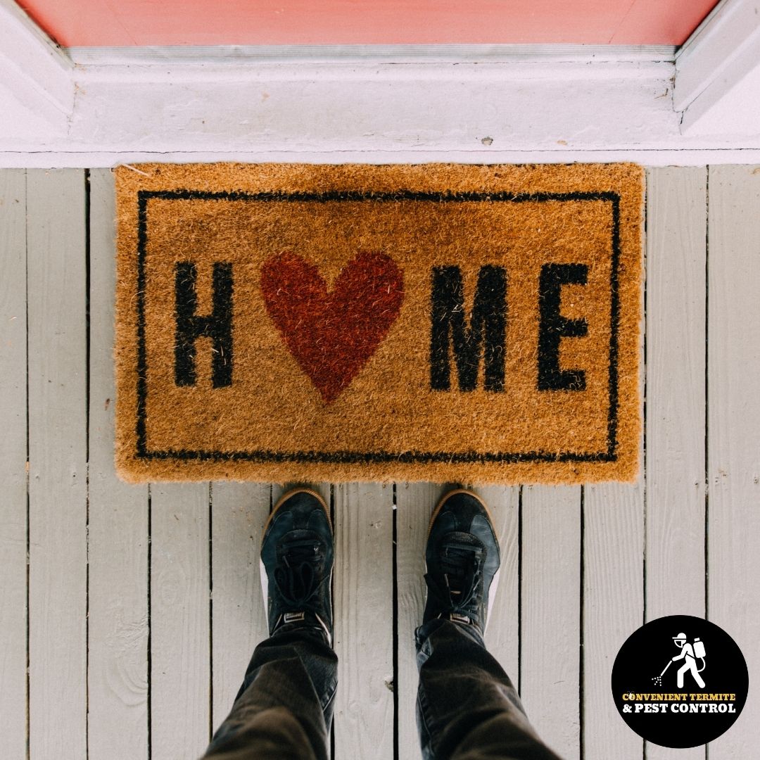 ConvenientPest's tweet image. We&apos;re here to prevent #termintes from ruining your home! Call today for an inspection. #PestControl bit.ly/3vqoo0X