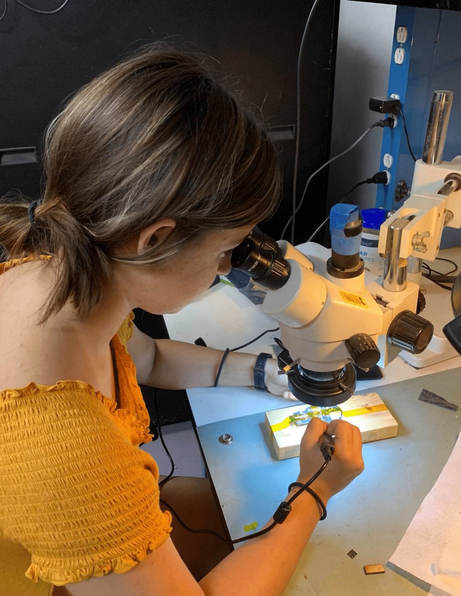 WindTurbineTeamVT tweet media