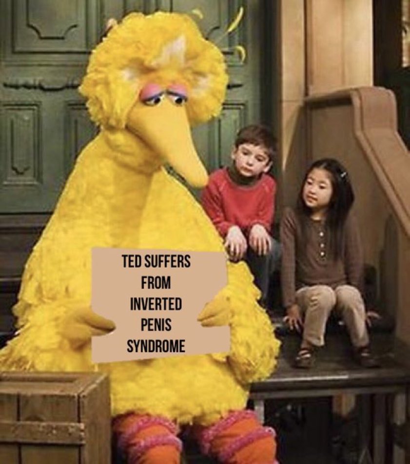 sadgirlcassi's tweet photo. #PoorTed #BigBirdForSenate https://t.co/D7tFTIBuBY
