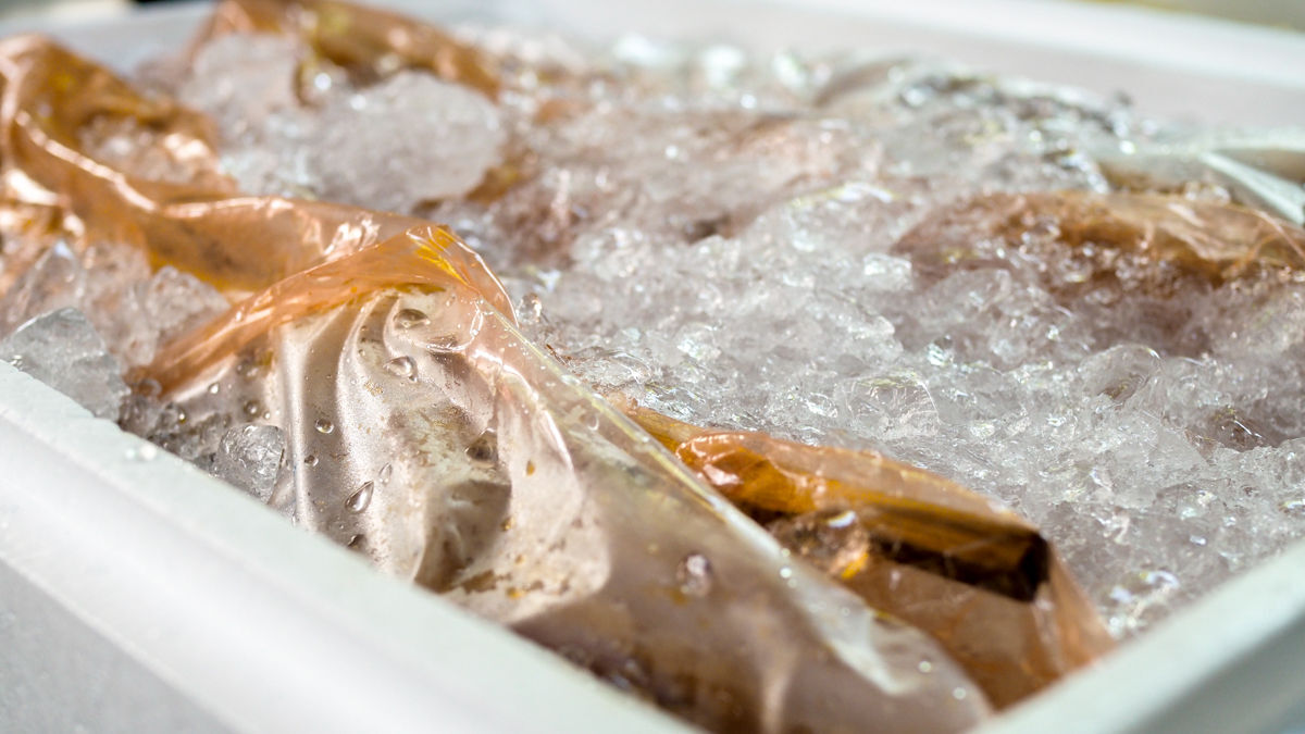 SiamAllFood's tweet photo. ไก่หมักหนีบไม้ สูตร ไก่ย่างเขาสวนกวาง มีการจัดส่งแบบไหนบ้าง? 
1. รถห้องเย็นของบริษัทฯ ครอบคลุม กรุงเทพฯ และปริมณฑล ภาคกลาง ภาคตะวันออก ภาคอีสาน ภาคเหนือ ภาคใต้
2. ส่งแบบกล่องโฟม โดยบริษัทขนส่งเอกชน ครอบคลุมทั่วประเทศ 

สนใจ แอด Line : https://t.co/UxrYVZZK5f หรือ 064-936-6983 https://t.co/d0w5Dogosy