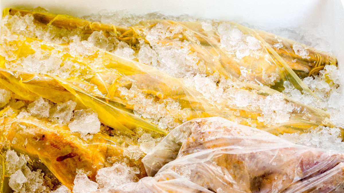 SiamAllFood's tweet photo. ไก่หมักหนีบไม้ สูตร ไก่ย่างเขาสวนกวาง มีการจัดส่งแบบไหนบ้าง? 
1. รถห้องเย็นของบริษัทฯ ครอบคลุม กรุงเทพฯ และปริมณฑล ภาคกลาง ภาคตะวันออก ภาคอีสาน ภาคเหนือ ภาคใต้
2. ส่งแบบกล่องโฟม โดยบริษัทขนส่งเอกชน ครอบคลุมทั่วประเทศ 

สนใจ แอด Line : https://t.co/UxrYVZZK5f หรือ 064-936-6983 https://t.co/d0w5Dogosy