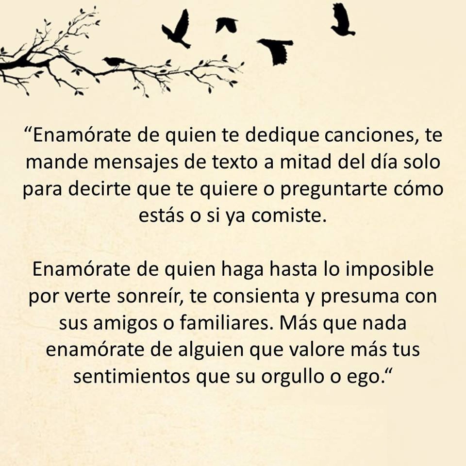PauloCoelhoDice's tweet photo. https://t.co/8qOAeIoKA3