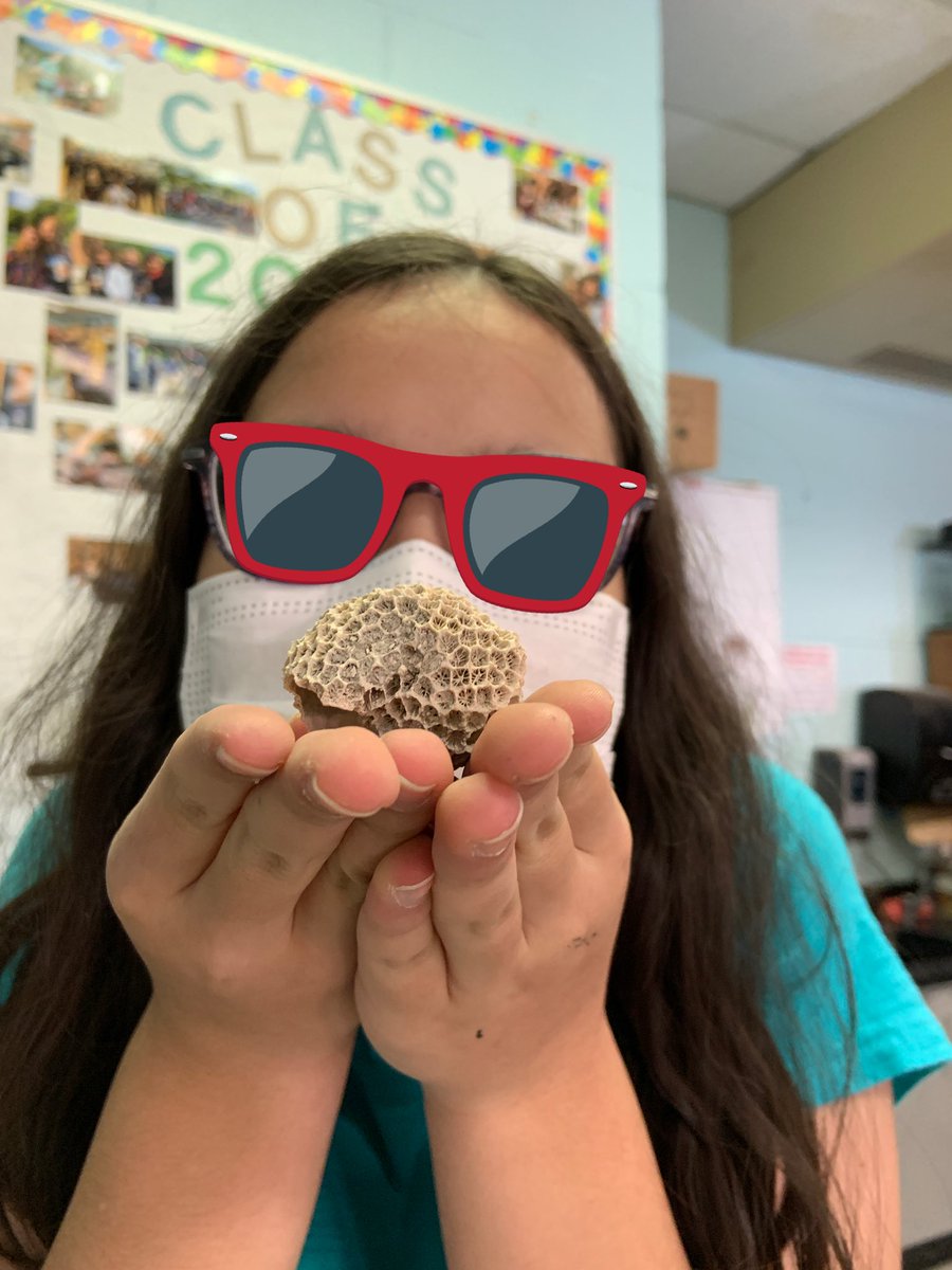 amyatkinswcs's tweet photo. Fossils Rock! Thanks @mtoran for putting together an awesome outreach kit for us! @app_earth_sci @HardinPark_WCS https://t.co/st8XXb6wTA