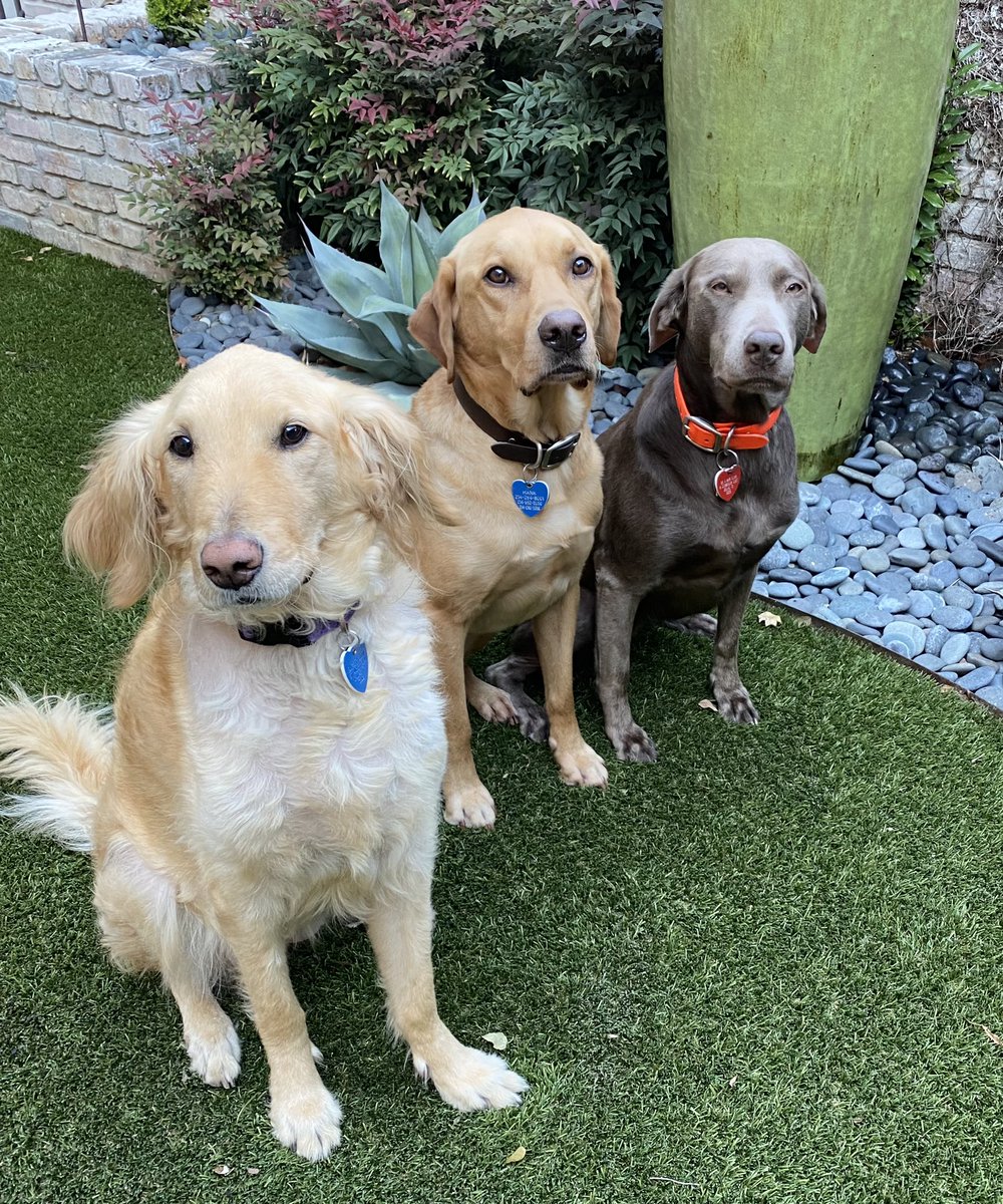 E. Sloan tweet media