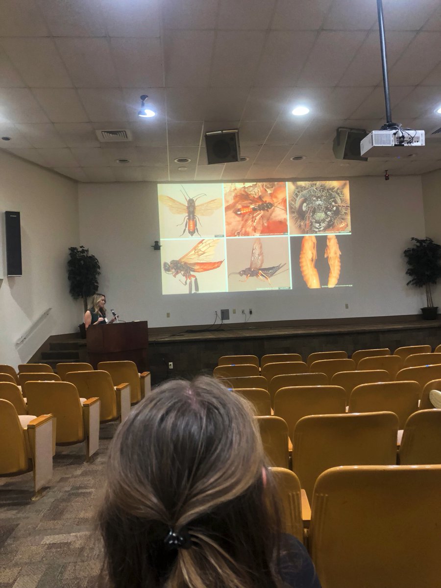 Jacob Smith (@j_smith1507) on Twitter photo Supporting fellow graduate students even if they aren’t in ag! Great talk! <a href="/Kendraforestent/">Kendra Wagner</a> #MEA2021 #ForestEnt Supporting fellow graduate students even if they aren’t in ag! Great talk! <a href="/Kendraforestent/">Kendra Wagner</a> #MEA2021 #ForestEnt
