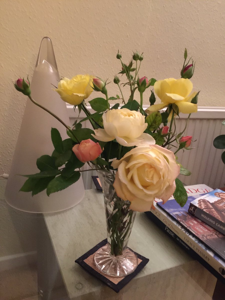 Ann Hawkins tweet media