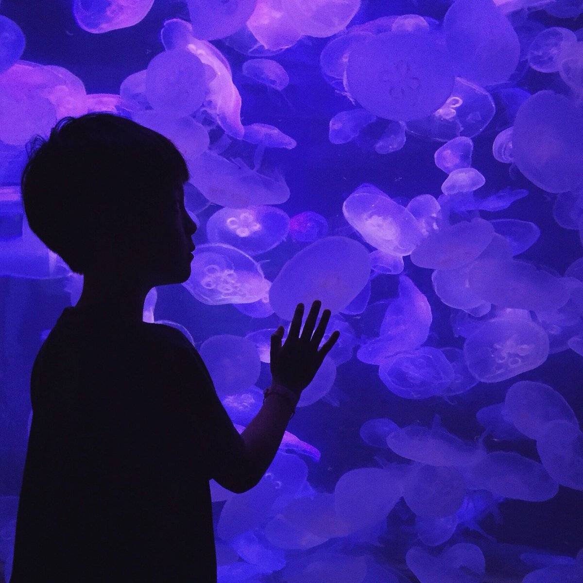 Join us via King County Library this Friday for Sea Critter Story Time.  Besides some fun stories, we'll also be feeding the animals.  Please note, you must register with KCLS for the program.
