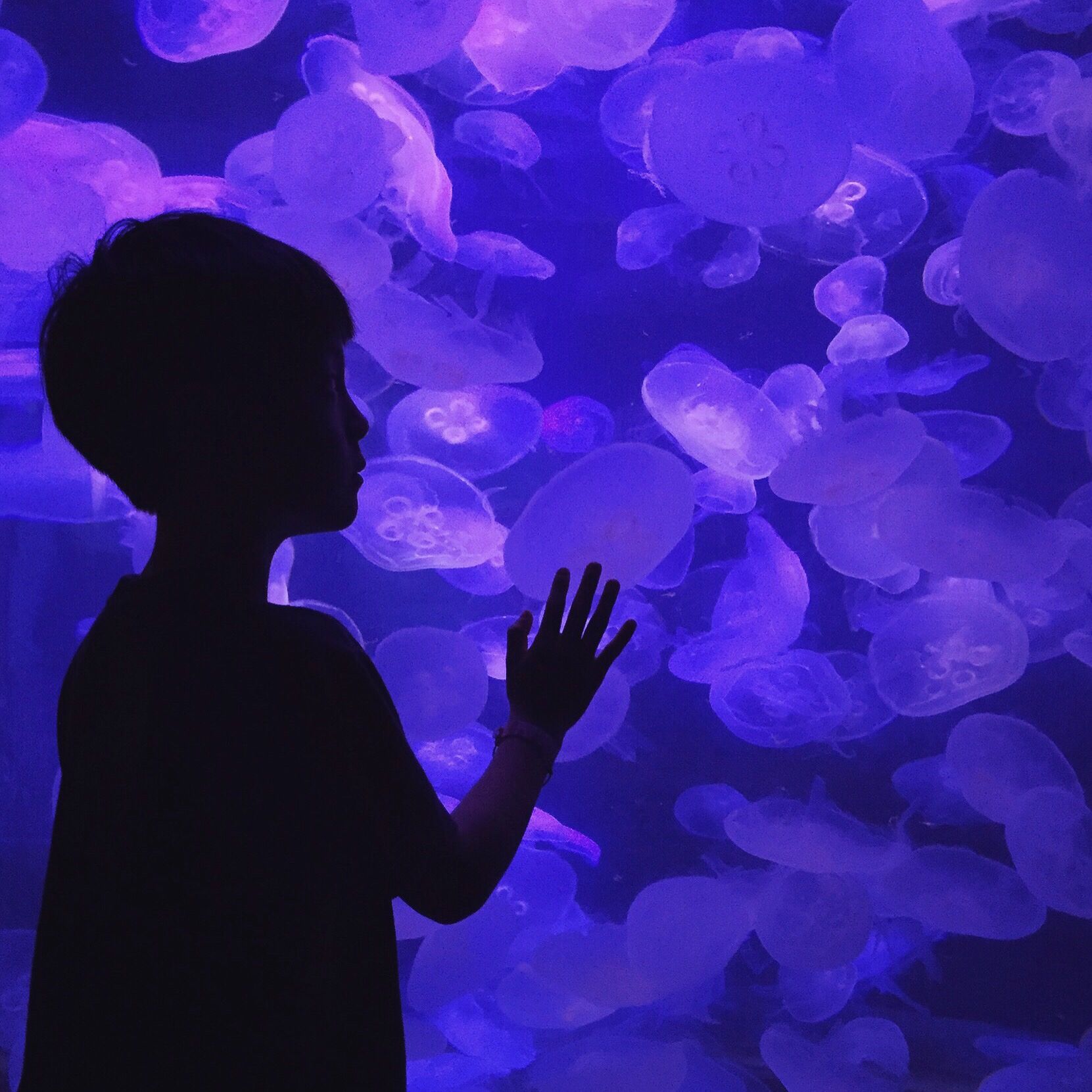 Highline MaST Center Aquarium (HCMaSTAquarium) / Twitter