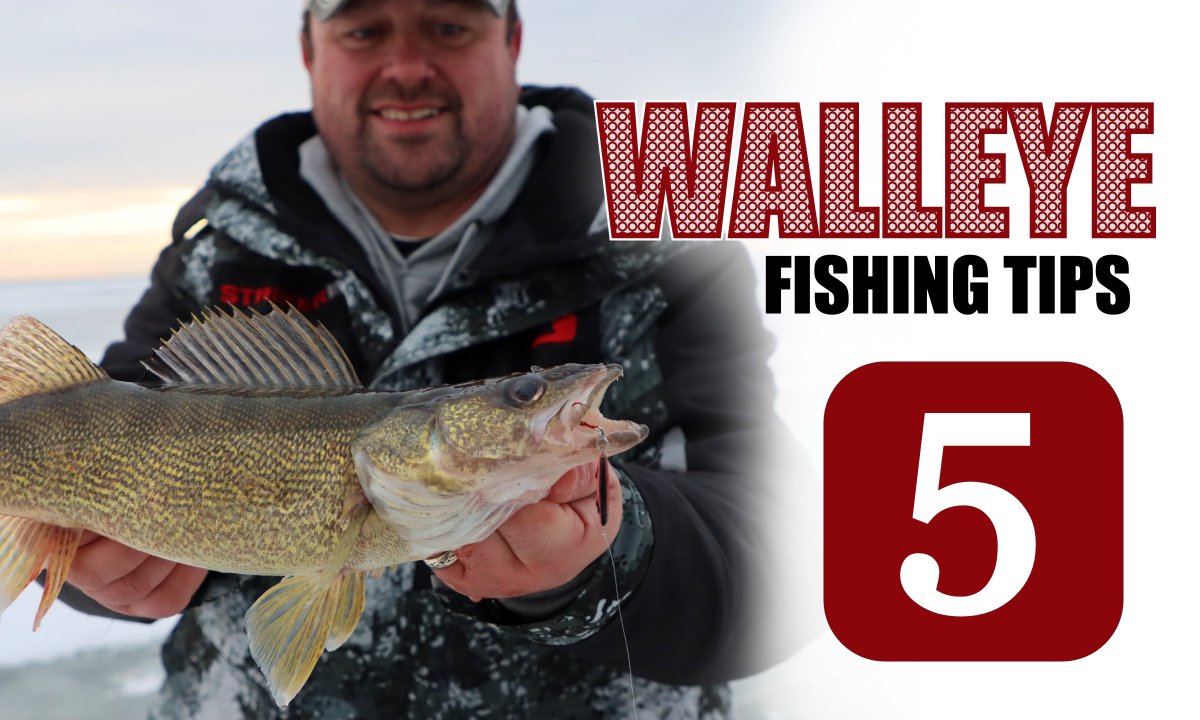 NorthlandTackle's tweet photo. 5 Walleye Tips for Ice Fishing Success #TeamNorthlandTackle 🎣

WATCH ➡️ https://t.co/DbuuPDBzPz https://t.co/JQaSBEhi2h