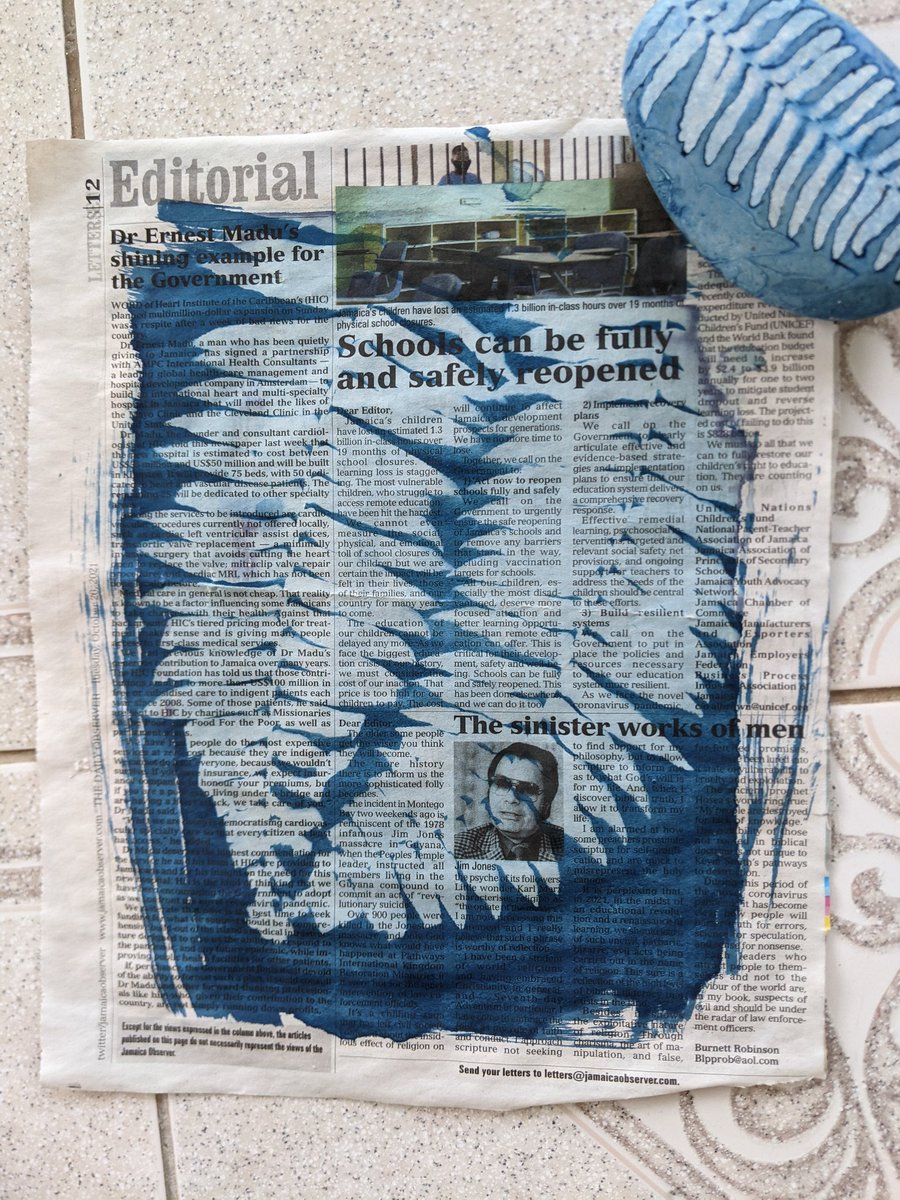 traceythorne's tweet photo. Editorial @JamaicaGleaner never looked so good #cyanotype #bluemonday #ferns #ferntastic stone from Annotto Bay https://t.co/jcvVcZ8woX