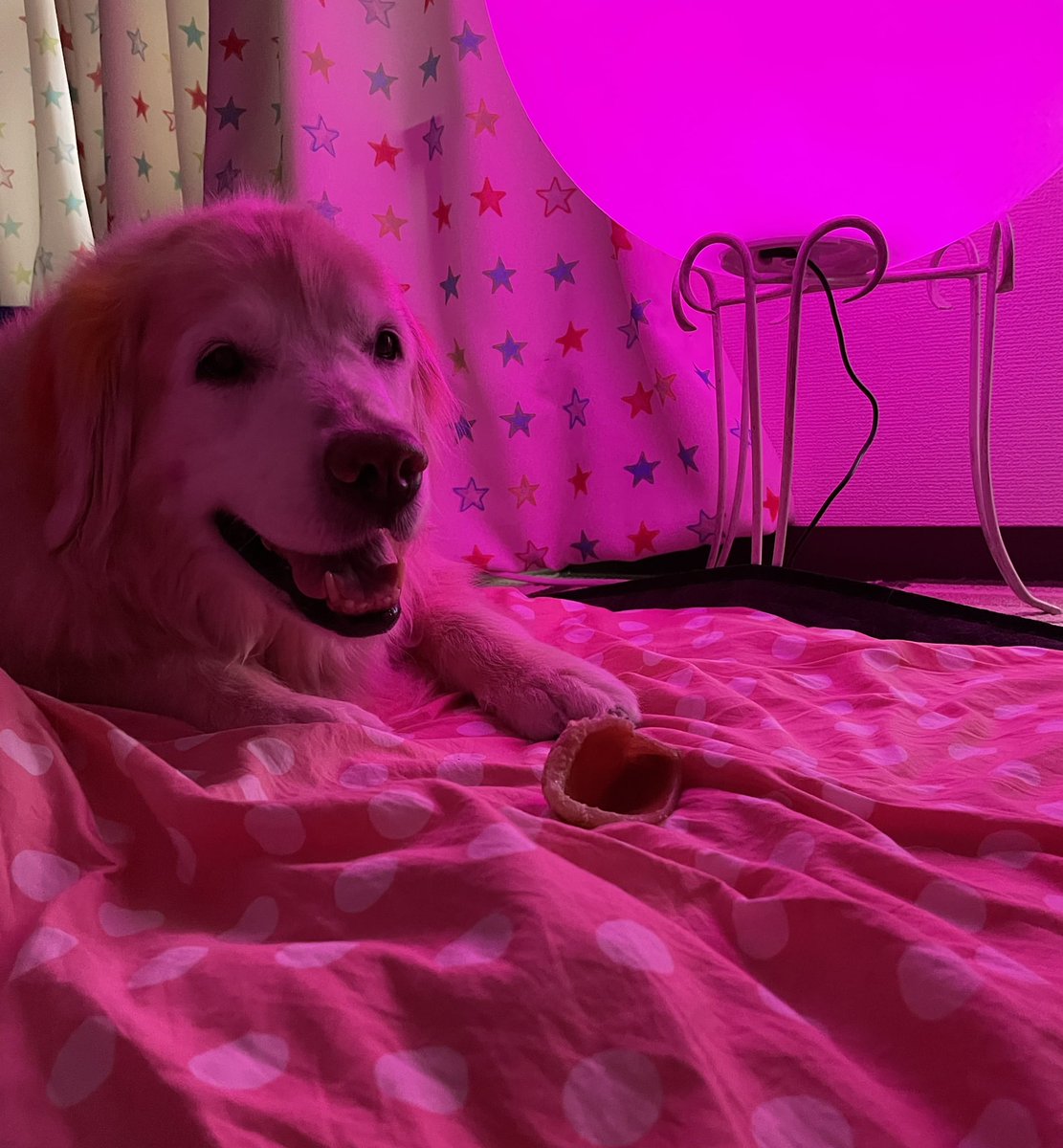 Top Tweets For てんとう虫 Twstalker