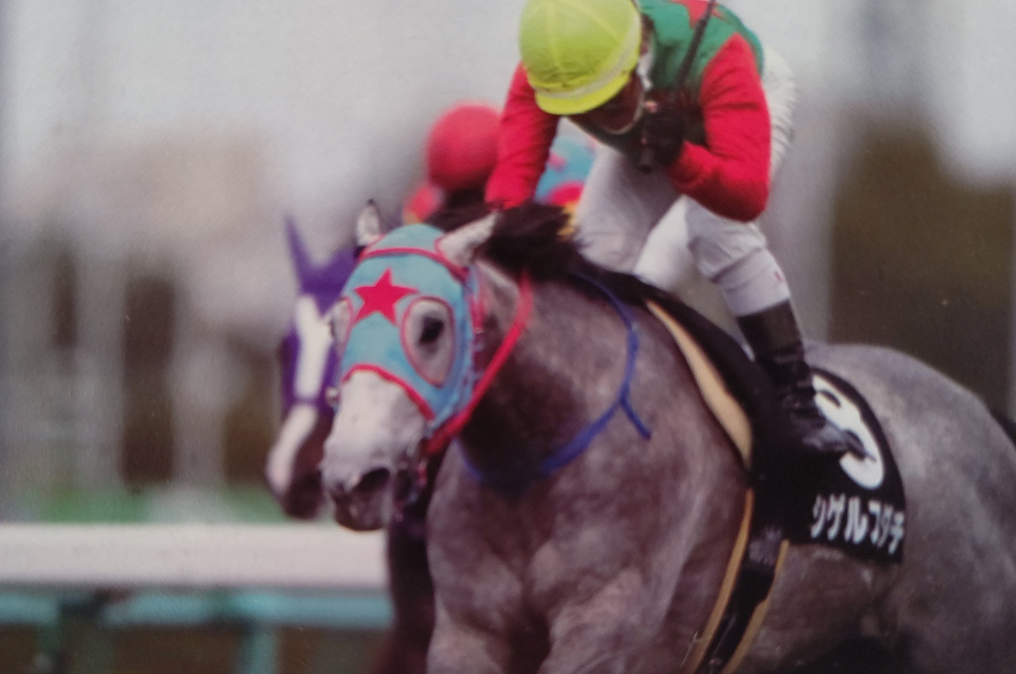 シゲルスダチ Twitter Search Twitter