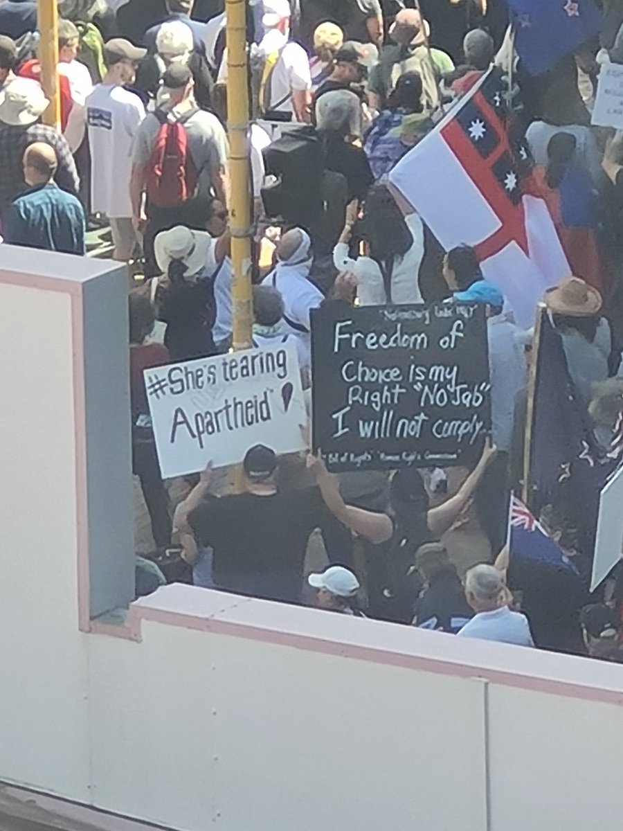 🥴🥴🥴 protest in Wellington. From Anti-1080 signs to 'Love Will Win' to Trump flags... what are you actually marching for?