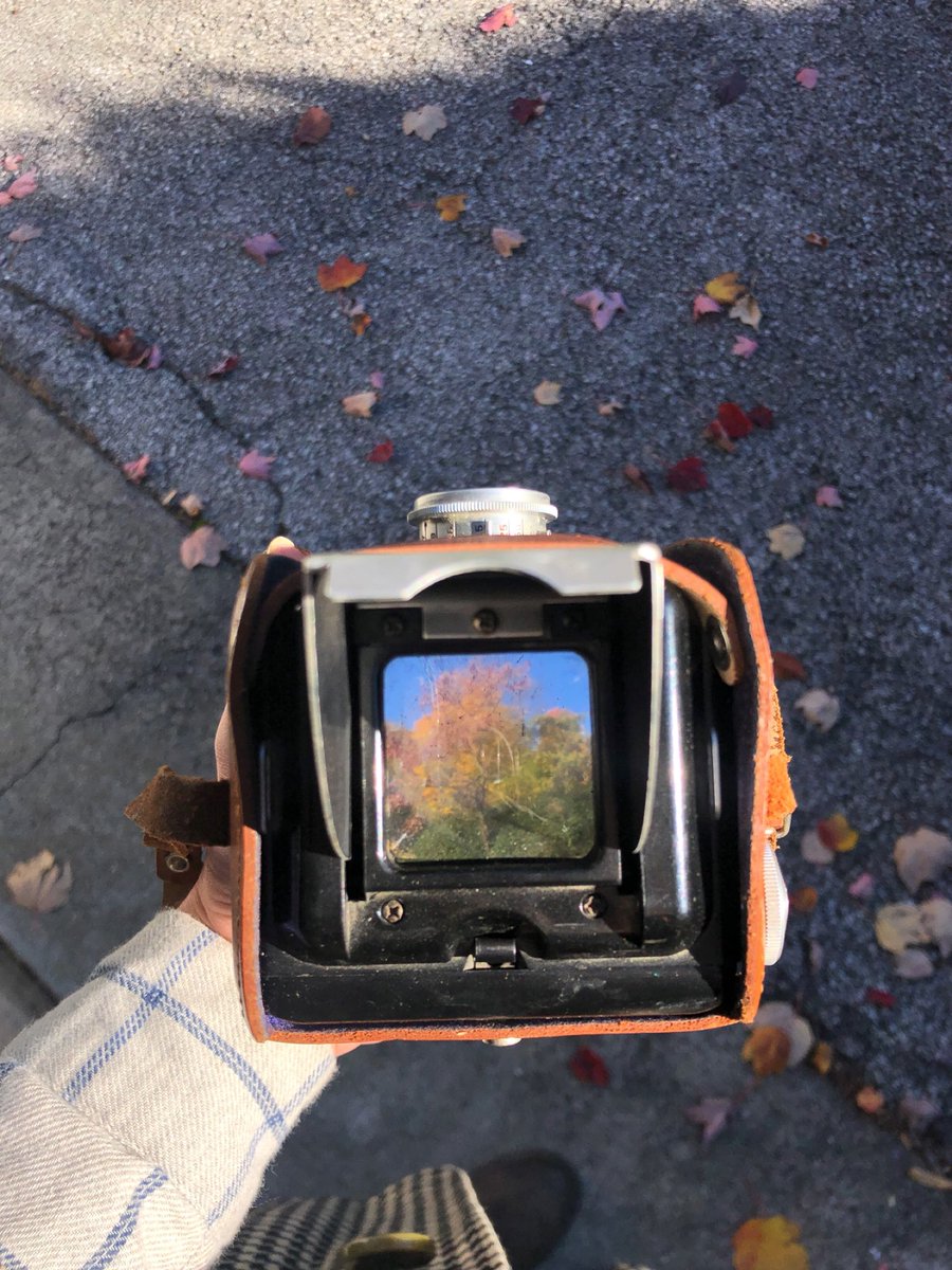 Գոհար tweet media