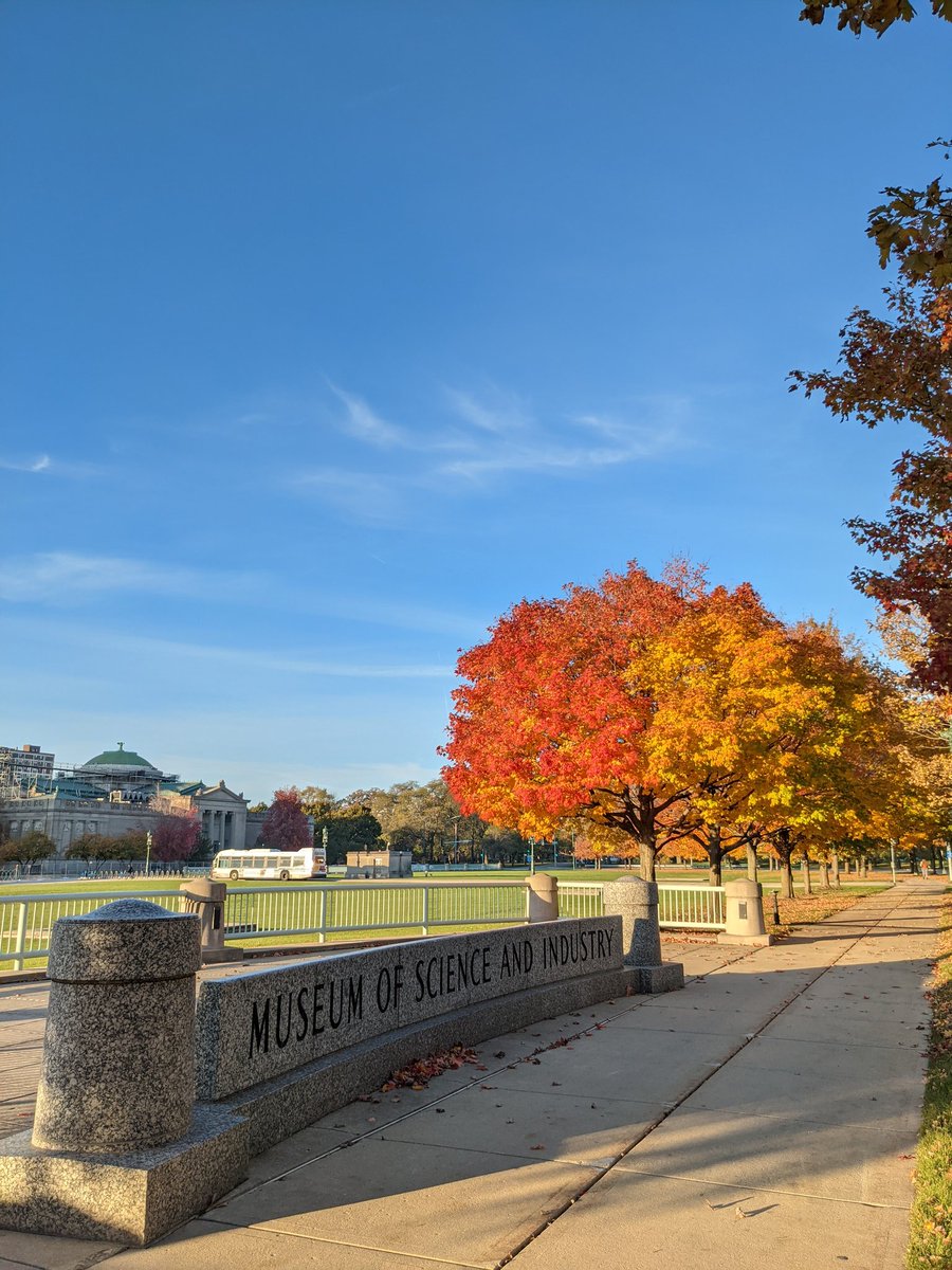 Ari Weil tweet media