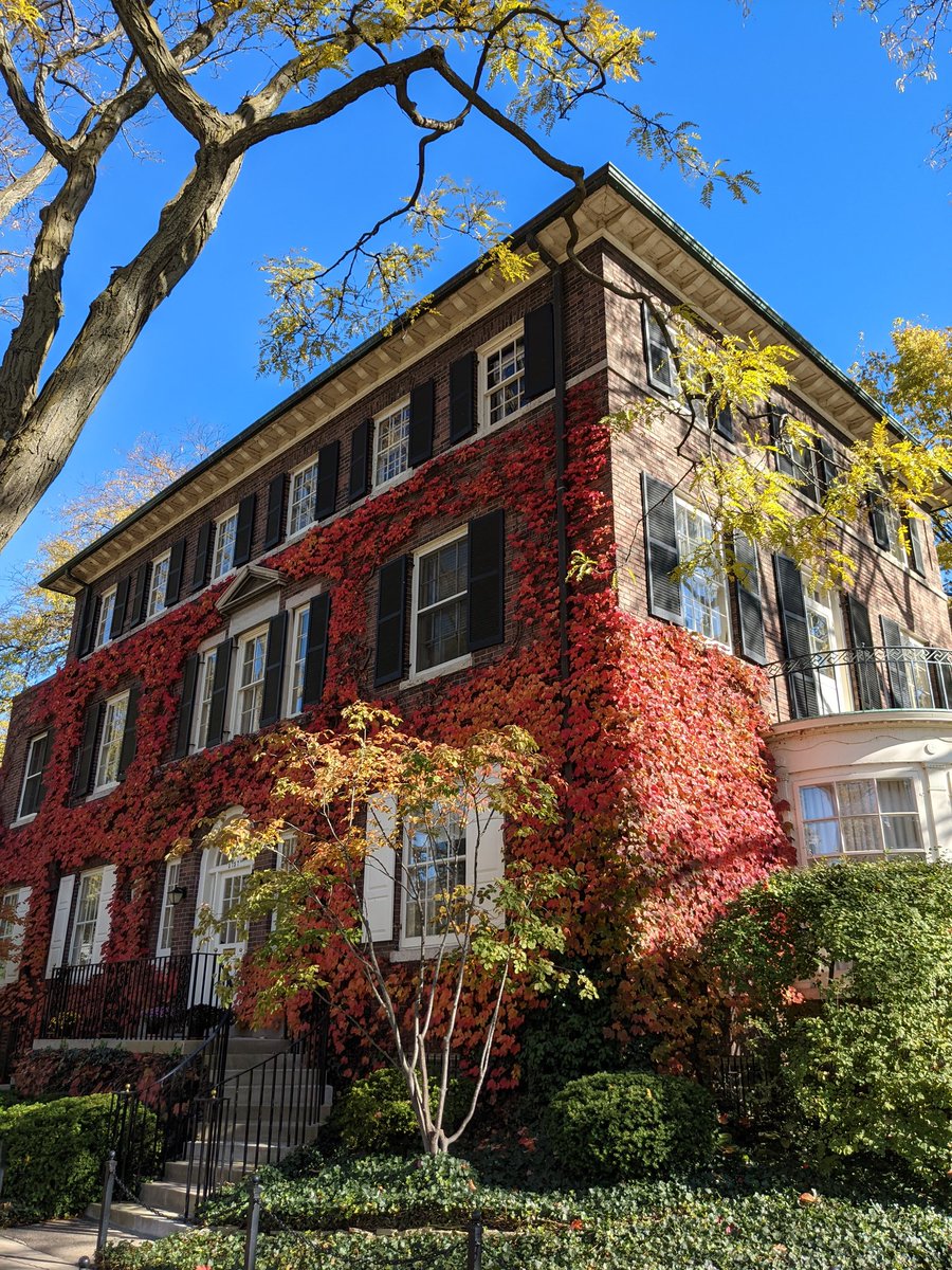 Ari Weil tweet media