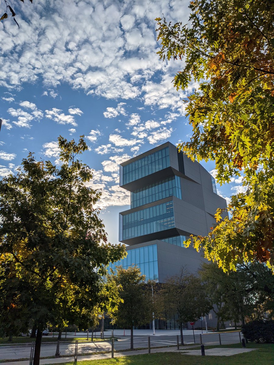 Ari Weil tweet media