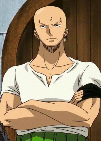 Todo Dia Um Personagem De Anime Careca on X: Gon careca