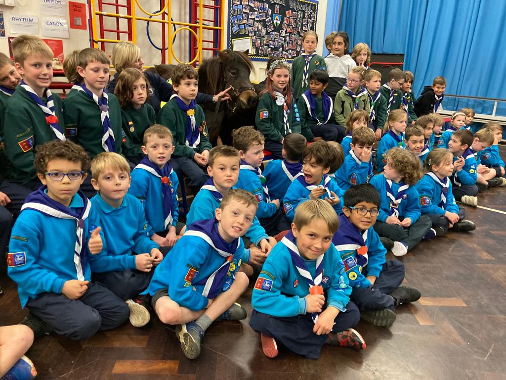 12th Hitchin Scouts tweet media