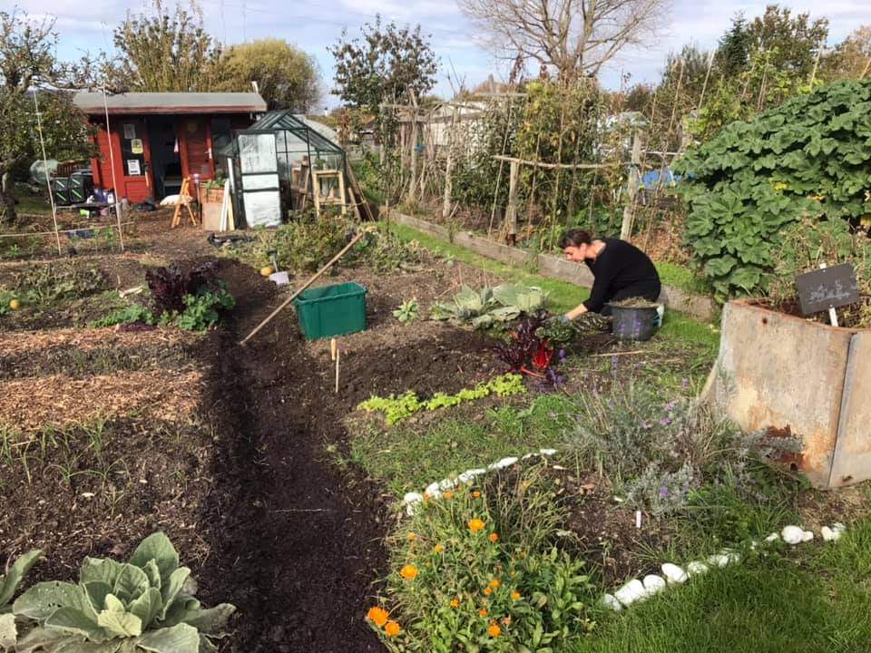 It’s been noted that I’m pretty good at dodging photos 😂 so I’ve included one of myself today! We had the pleasure of glorious sun AGAIN and have decided that this plot must have its own microclimate ☀️ facebook.com/10357481866616…