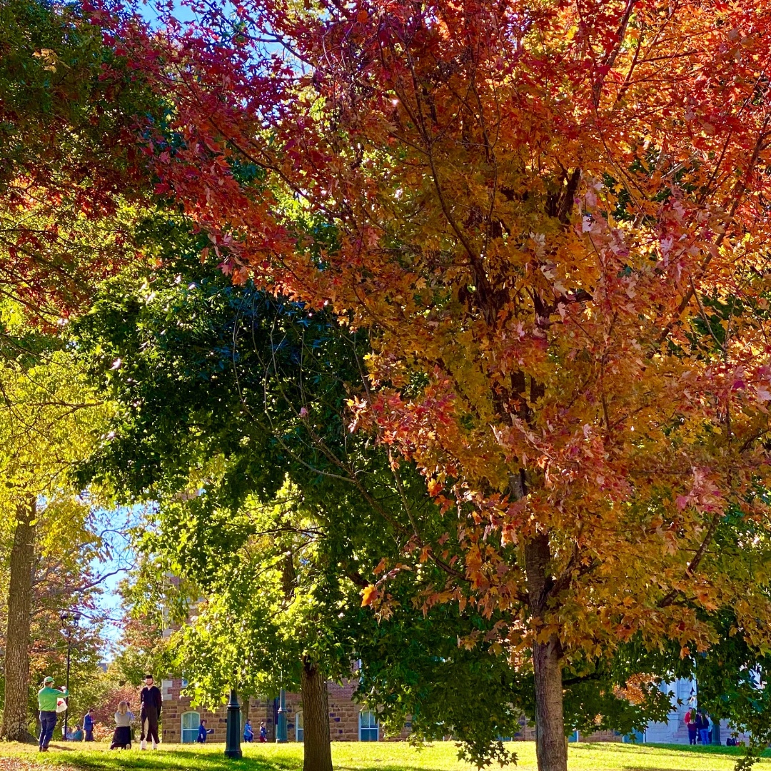 UArkansas's tweet photo. Stop. Pause. Enjoy the views on campus. #uark #uarklife https://t.co/ByYDS6IelJ