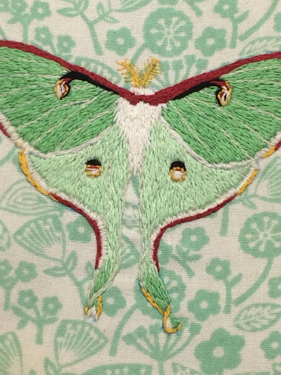 MoonAndSilk's tweet photo. Luna moth hand embroidery https://t.co/LzA29Si1c3