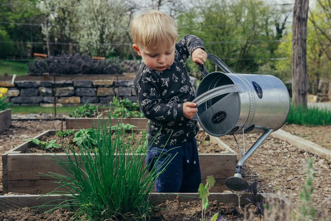 GrowEastbourne's tweet photo. Its with great excitement that I can announce we will be starting Little Grower sessions this month. If you are interested in joining please follow the link here and leave your details...
https://t.co/yYL2Of9Sn3 https://t.co/FPsKqdC5nL