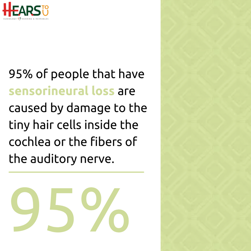 hearstou's tweet photo. Source: Hears To U
This type of hearing loss is permanent in nature. The damage can be caused by a variety of factors including but not limited to:
🔹 noise exposure
🔹 hereditary
🔹 sicknes
🔹 can happen naturally over time
#HearsToU #HearingAids #Hearables #PSAP https://t.co/GfPx8iMDaS