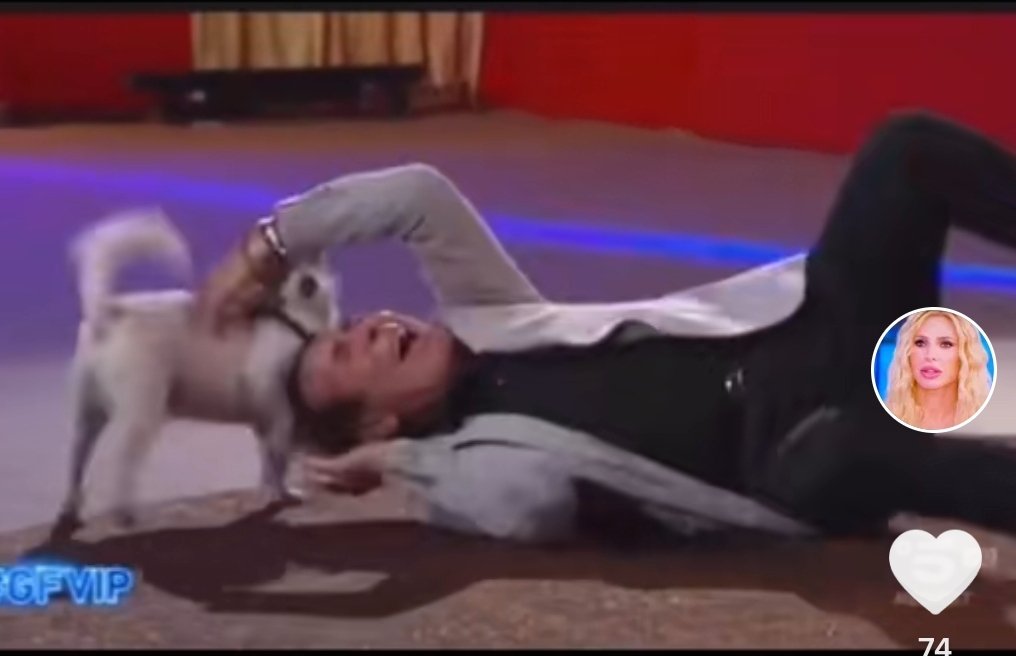 FortuTore's tweet photo. Francesca Cipriani strappa il parrucchino a giucas, vendetta!!!  #GFVIP https://t.co/czCrb1Kl9p