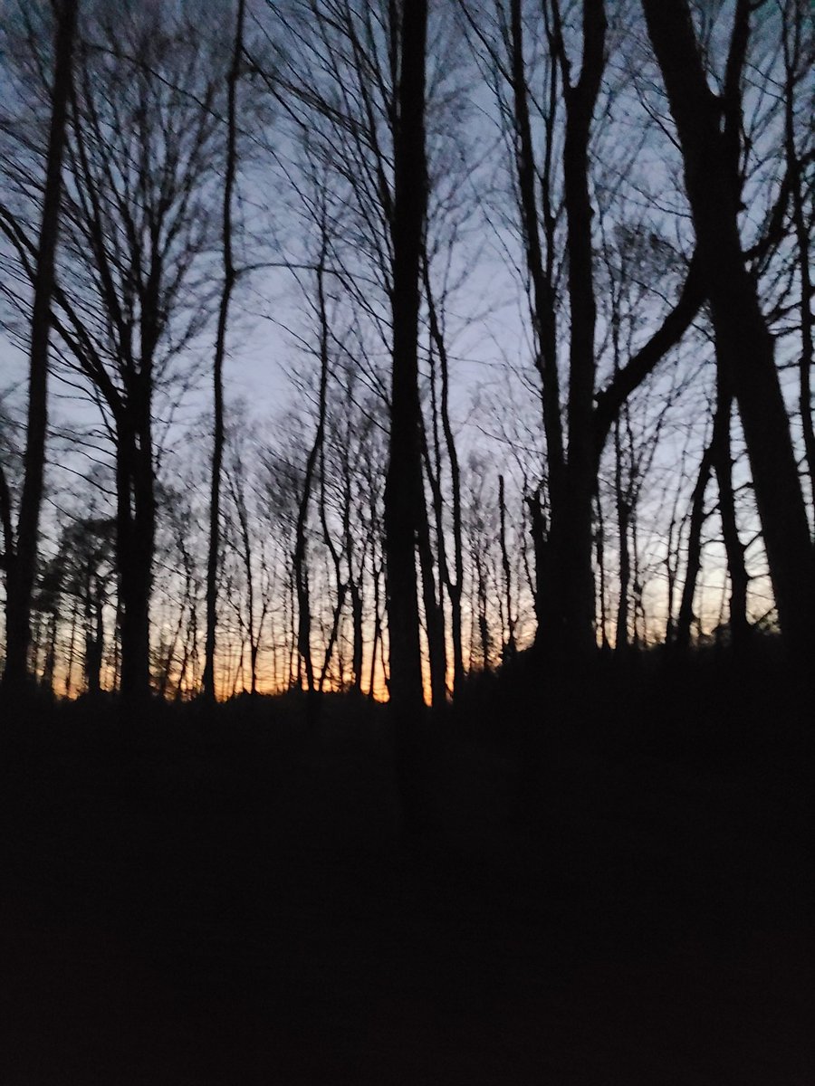 So nice to be out in nature again 💫☀️