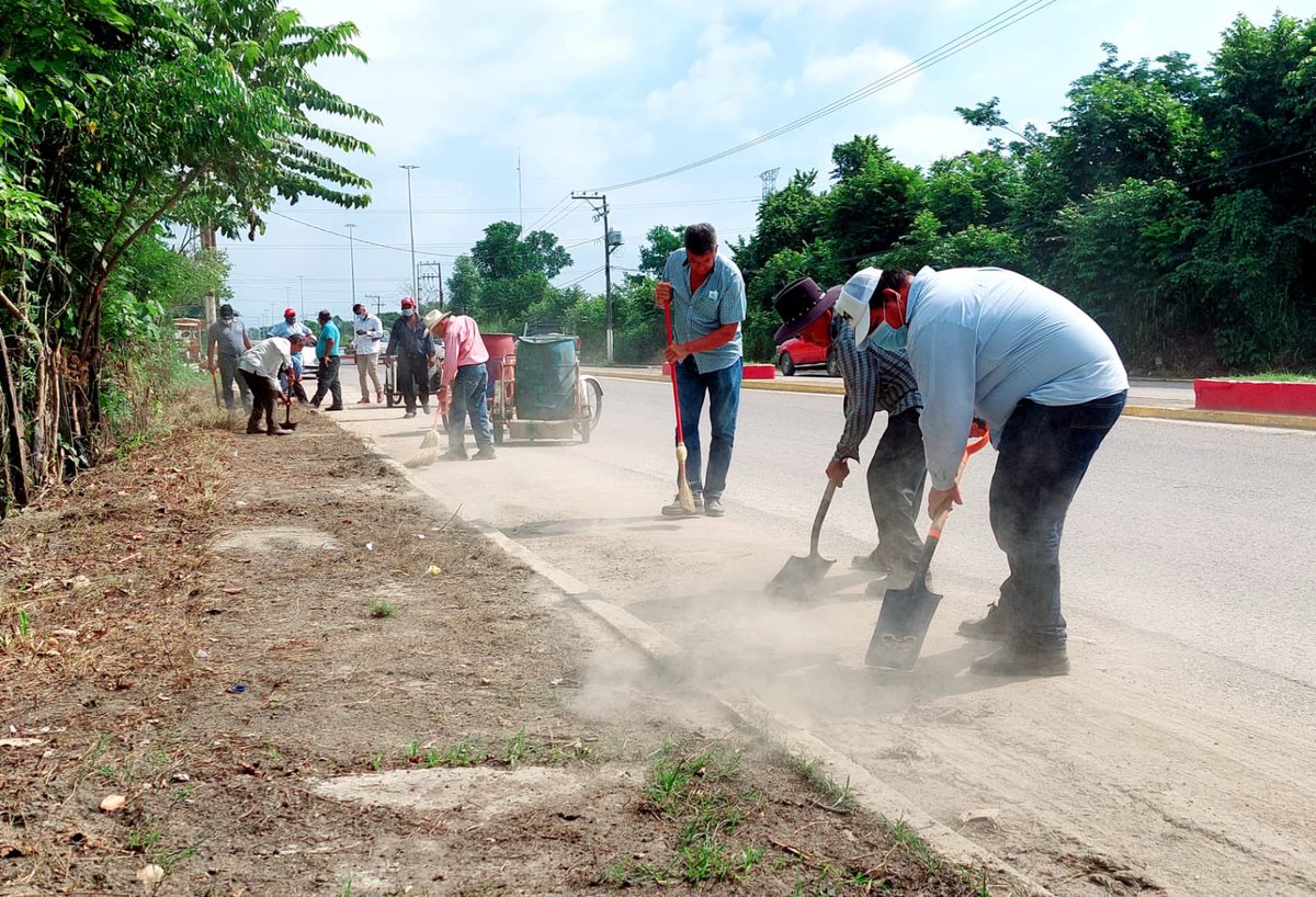 AytoMacuspana's tweet photo. EL GOBIERNO DE MACUSPANA LIBERA LAS BANQUETAS DEL BOULEVARD CARLOS A. MADRAZO QUE PERMANECÍAN CUBIERTAS DE BASURA Y MALEZA, OBSTRUYENDO EL PASO DE LOS PEATONES
https://t.co/hCPTUeYvGl https://t.co/SwM4cDOQyQ