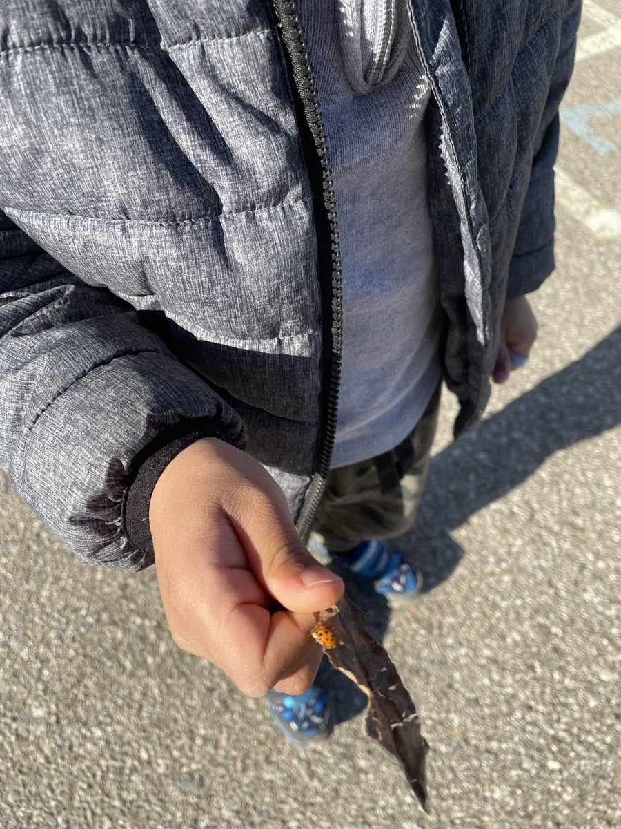 Miss Bowyer tweet media